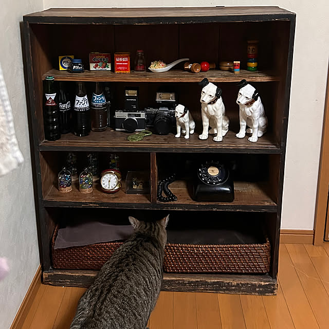 mikan161さんの実例写真