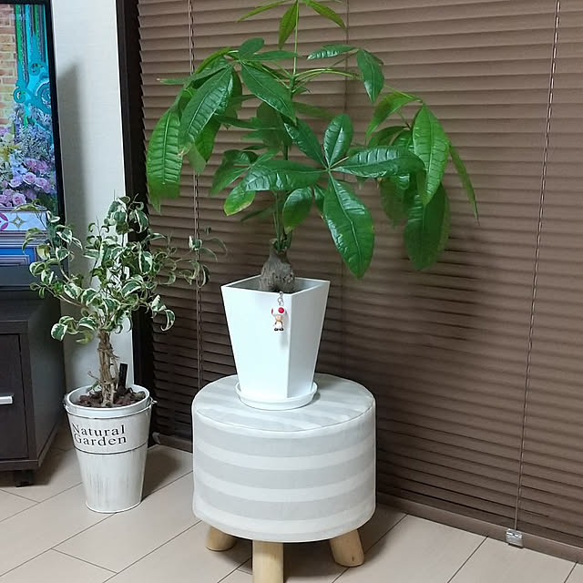 meiさんの実例写真