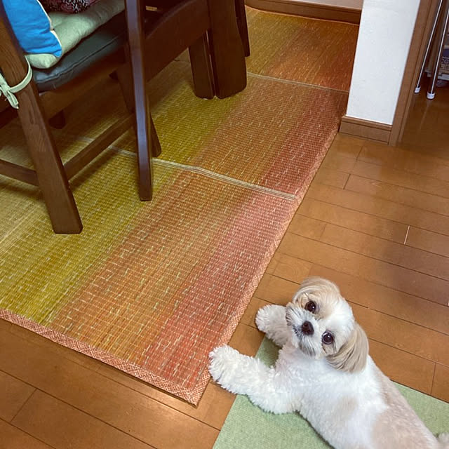 araaraさんの実例写真