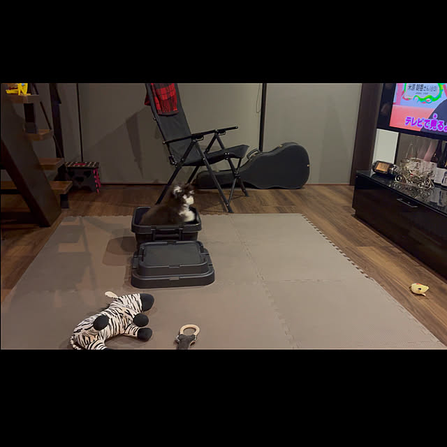 Ad.nakoさんの部屋