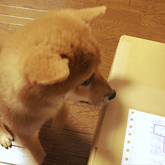 tanyuumoさんの実例写真