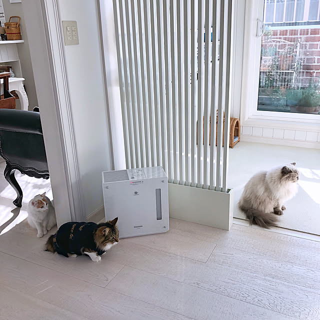 yuchiさんの実例写真