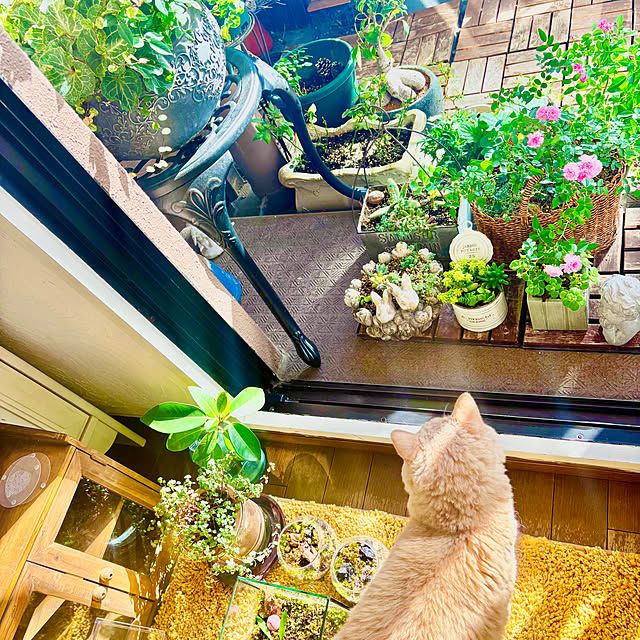 naokoさんの実例写真