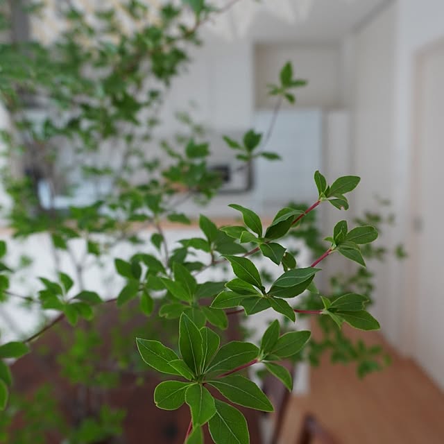 usan.22さんの部屋