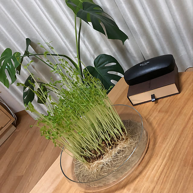akihimeさんの実例写真