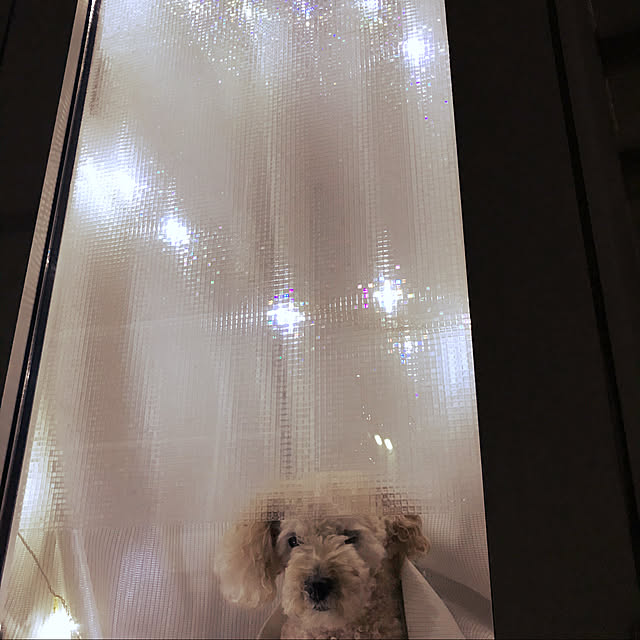 mocomocoyuuさんの実例写真