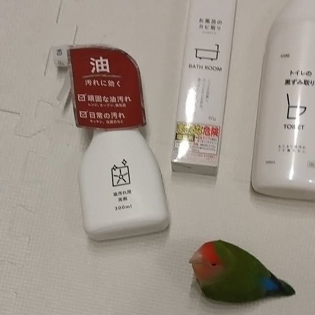 toratanさんの部屋