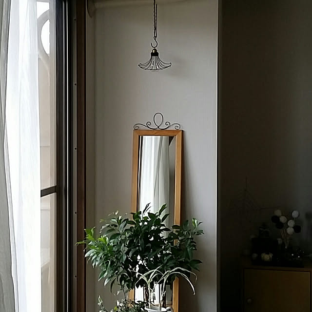 suzuさんの実例写真