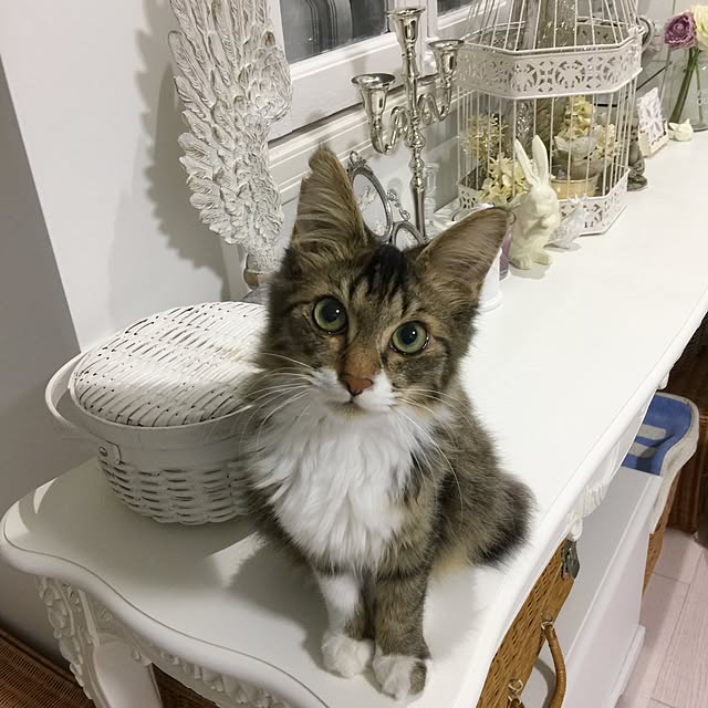 yuchiさんの実例写真