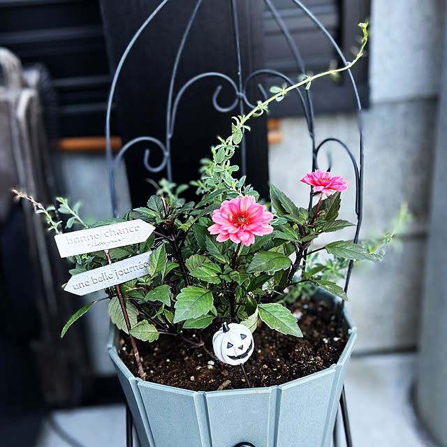 nanさんの実例写真