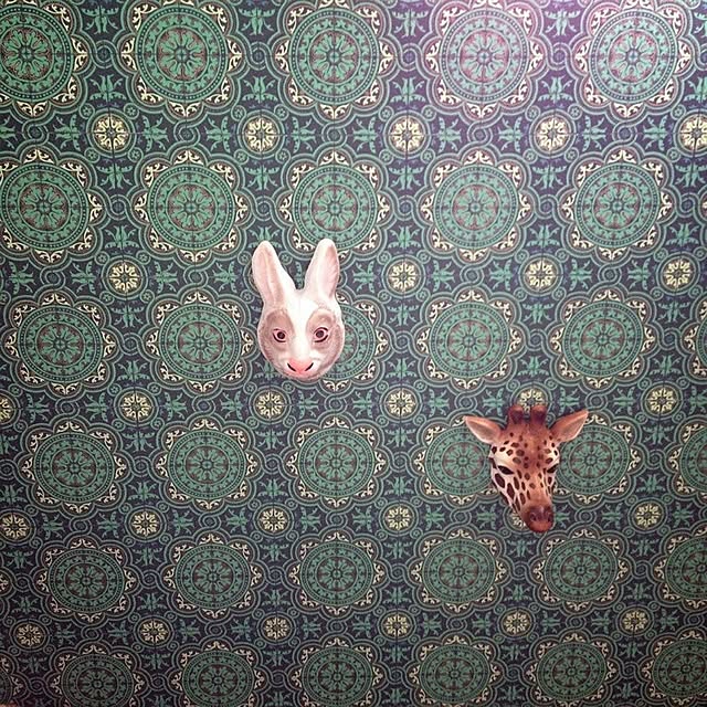 o_oさんの実例写真