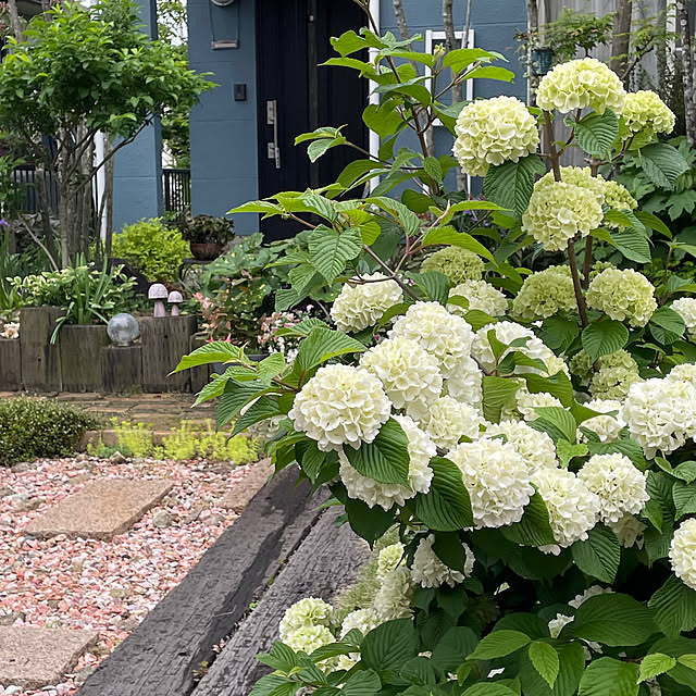 nobikoさんの実例写真