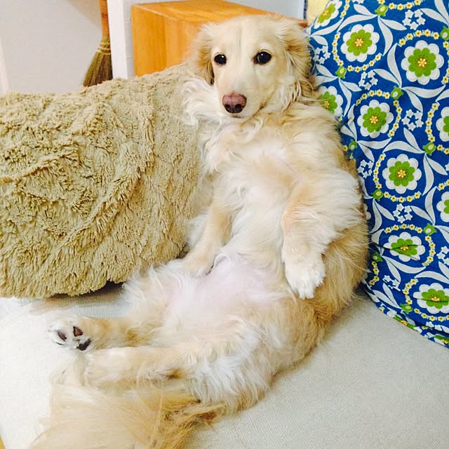 Erinさんの実例写真