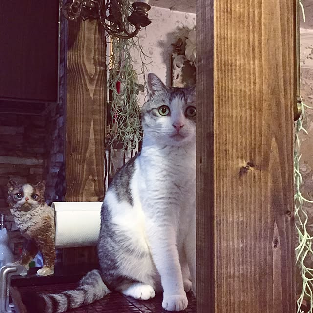 emmyyさんの実例写真