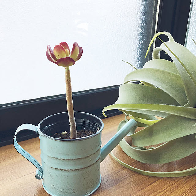 CoffeeHouseさんの部屋