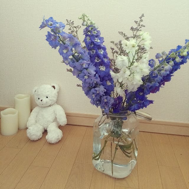 miSaさんの実例写真