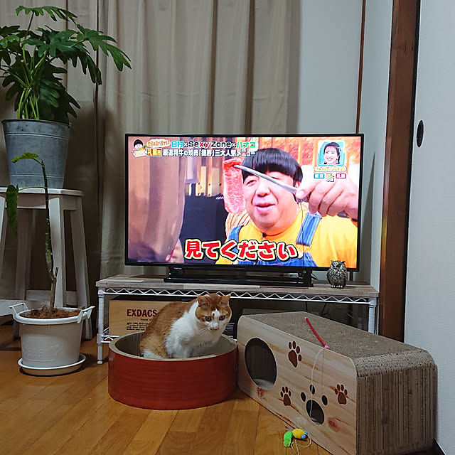 mugi77327732さんの実例写真