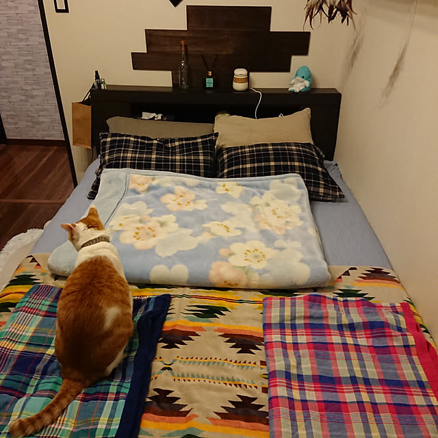 porinさんの実例写真