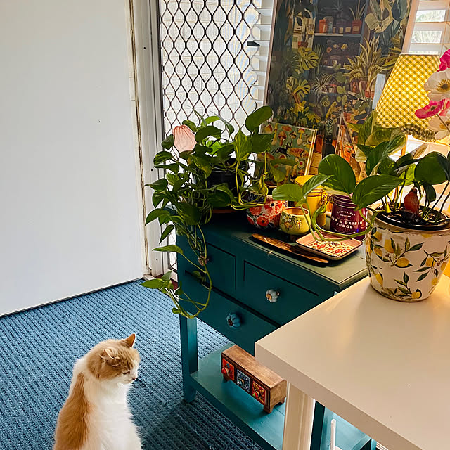 Spiceさんの実例写真