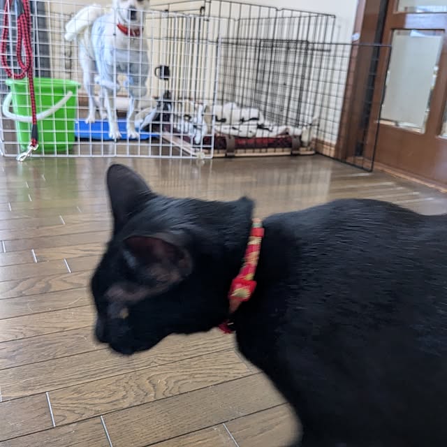 asaさんの部屋