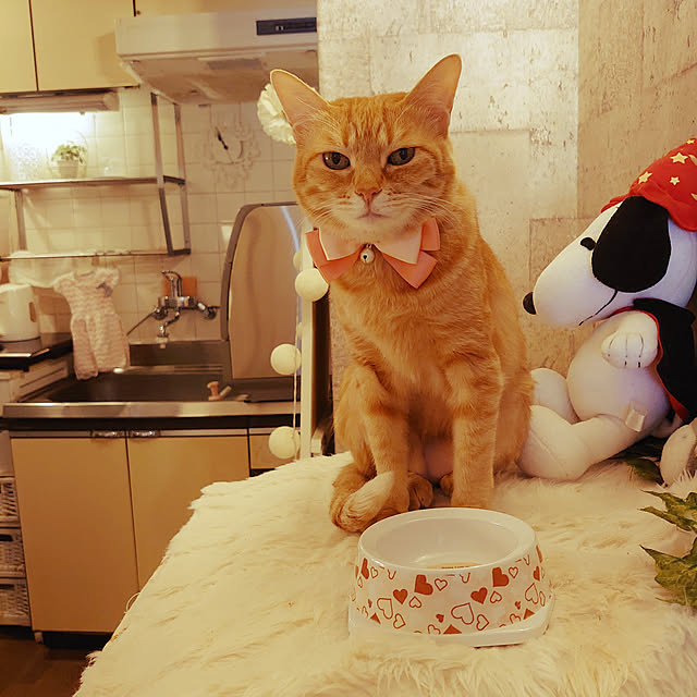 asuminさんの実例写真