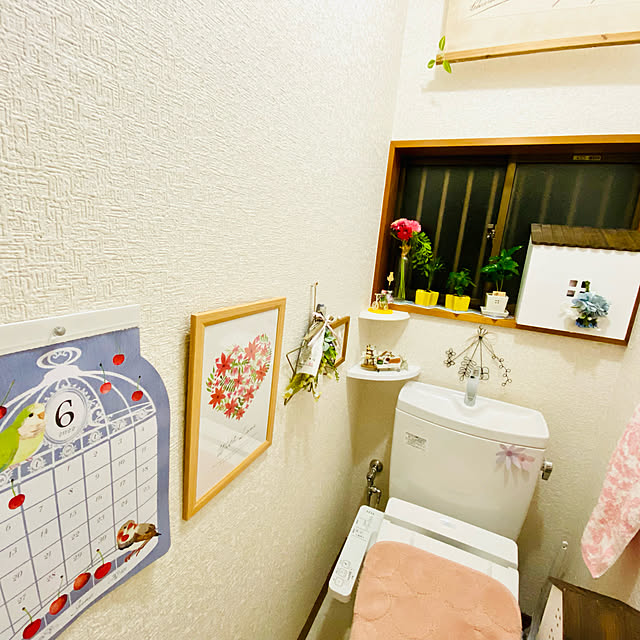 n_k6369さんの実例写真