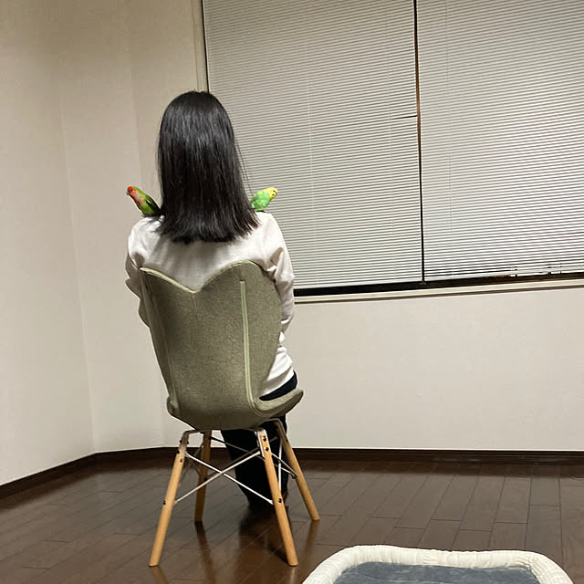 toratanさんの部屋