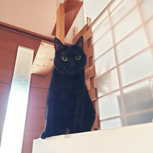 kiyohima229さんの実例写真