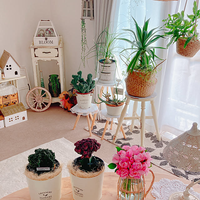Hanakaさんの部屋