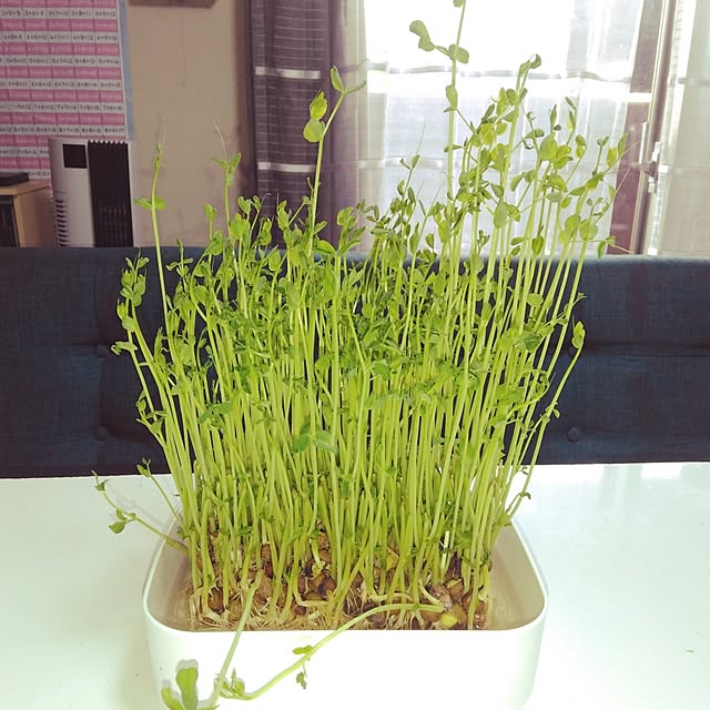 tomo3さんの実例写真