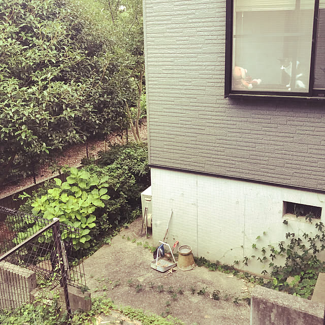 jijiさんの実例写真