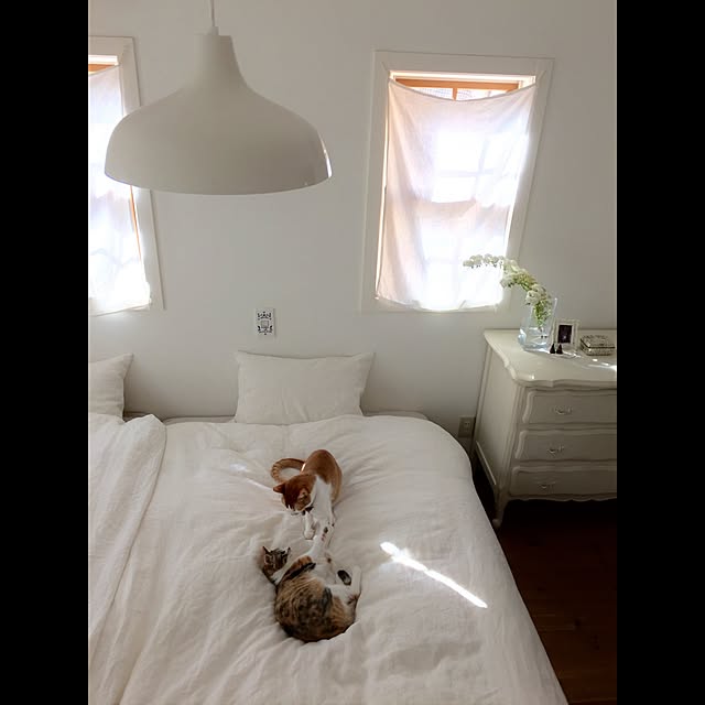midoriさんの実例写真