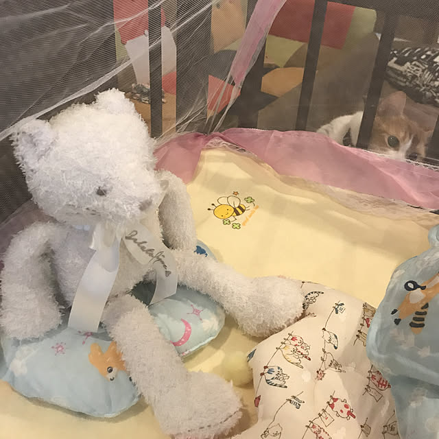 KotarouKunさんの実例写真
