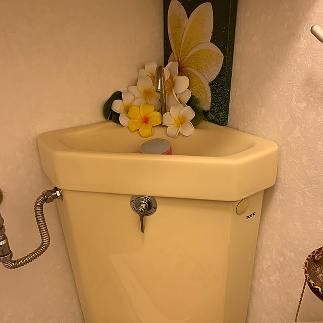 Mieさんの部屋