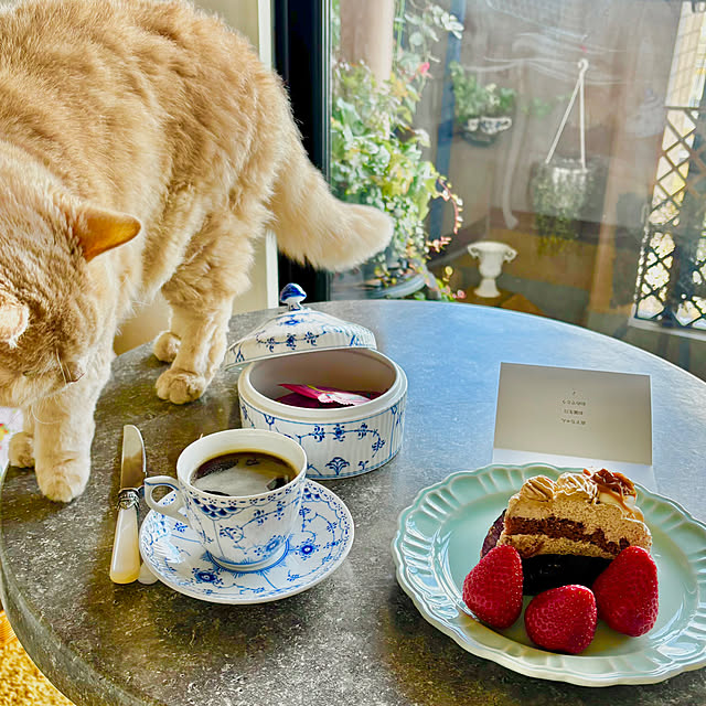 naokoさんの部屋