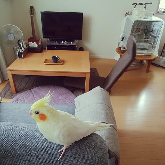 pontaさんの実例写真