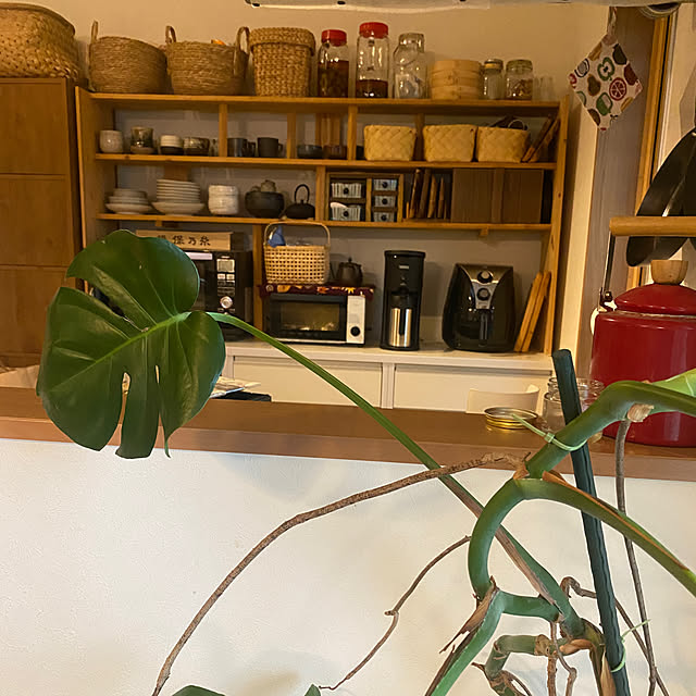 kotaroさんの部屋