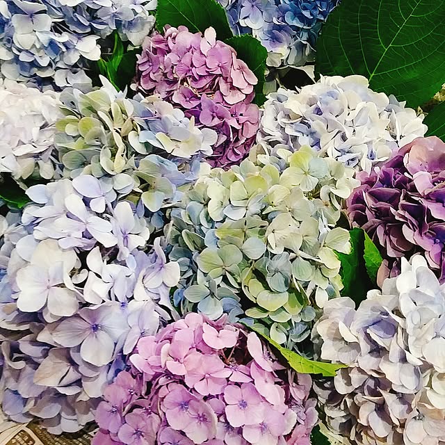 rumako32さんの実例写真