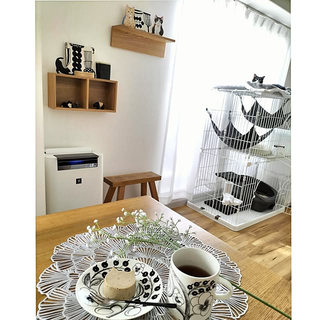 hihaさんの部屋