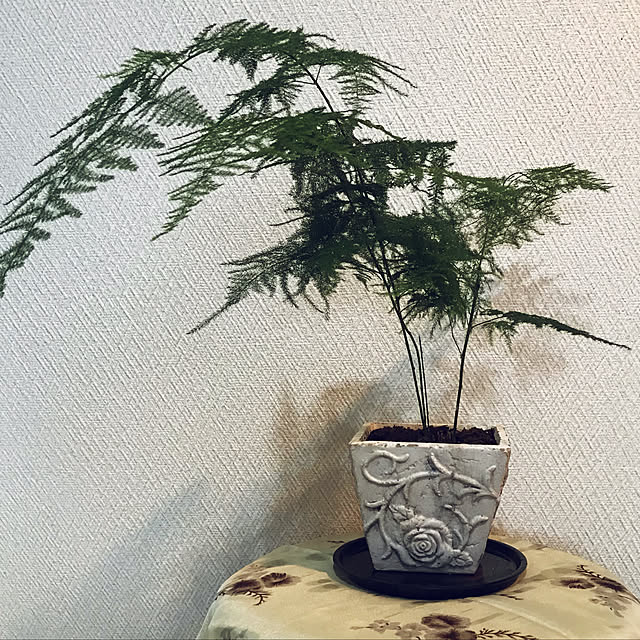 fuyiqian1026さんの実例写真