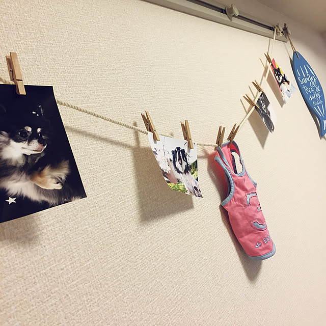 saachanさんの実例写真