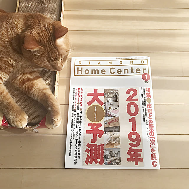 derazouさんの実例写真
