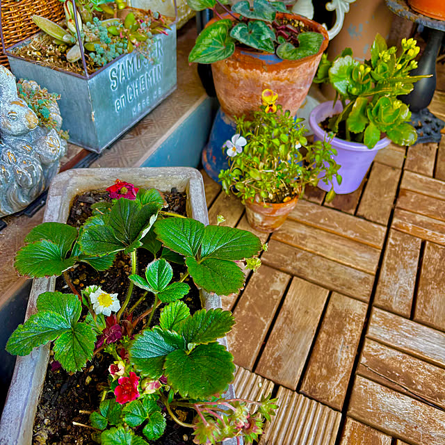 naokoさんの部屋