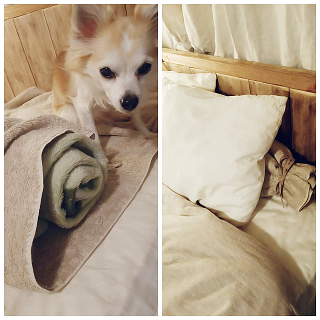 nonさんの実例写真