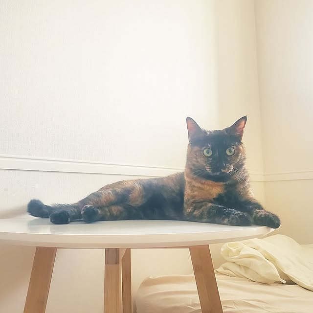 JIHYEさんの部屋