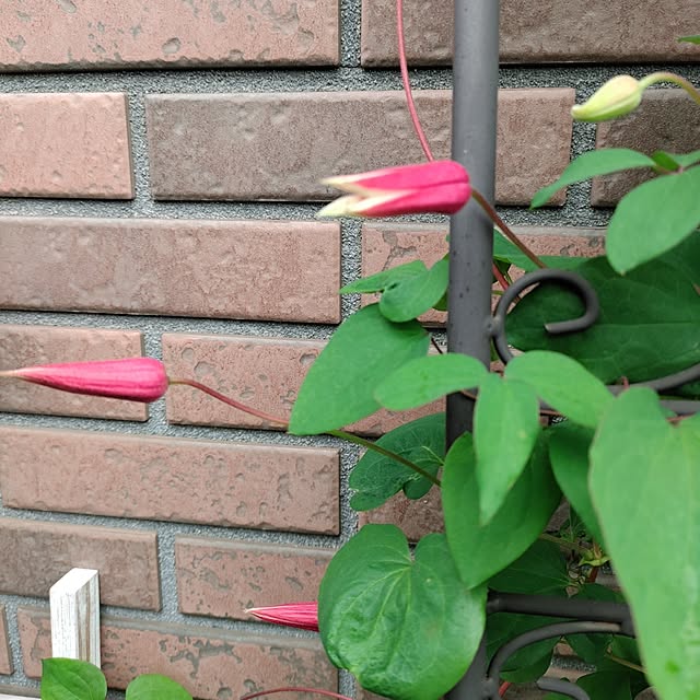 kiraさんの部屋