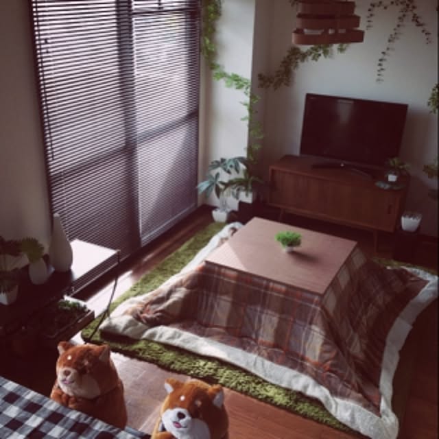 aiさんの実例写真