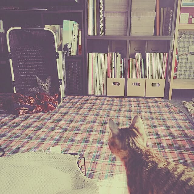 Fukkoさんの実例写真