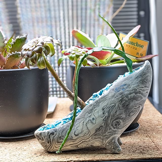 wyefuさんの実例写真