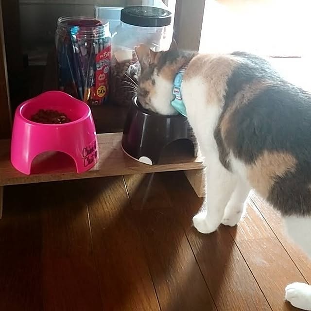 fukuさんの部屋